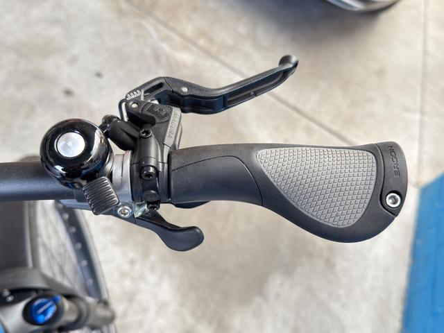 Riese & M&uuml;ller Charger4 GT touring * 46 cm petrol matt 