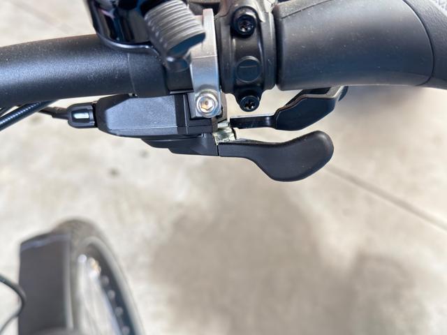 Riese & M&uuml;ller Charger4 GT touring * 46 cm petrol matt 