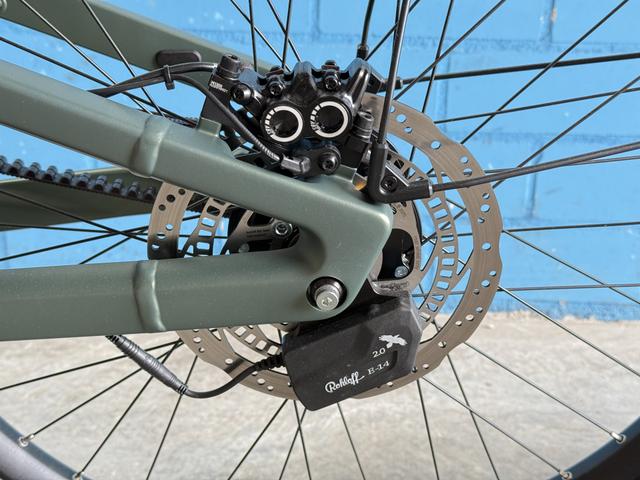 Riese & M&uuml;ller Superdelite5 GT rohloff 56cm *moss green *1.200 Wh 