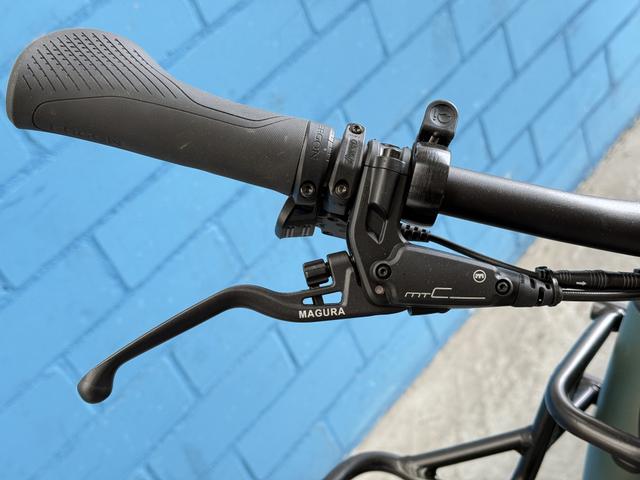 Riese & M&uuml;ller Superdelite5 GT rohloff 56cm *moss green *1.200 Wh 