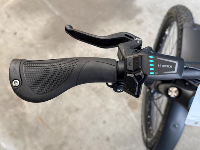 Riese & M&uuml;ller Charger4 GT vario 46 cm in petrol matt 