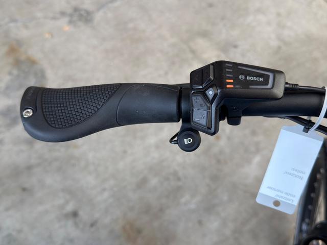 Riese & M&uuml;ller Charger4 GT touring * 56 cm petrol matt 