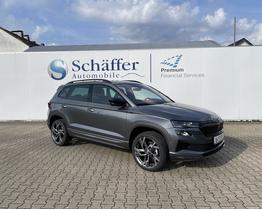 Welcher SUV passt zu mir?! Skoda Kamiq vs Karoq vs Kodiaq Modelljahr 2024