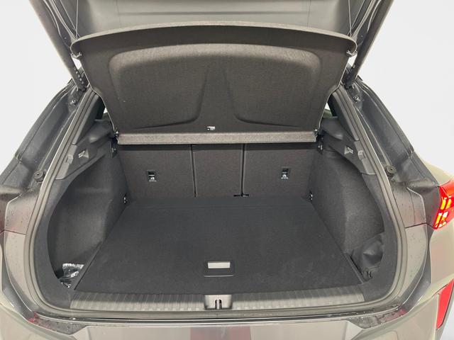 Cupra Terramar VZ 2.0 TSI 265PS/195kW 4x4 DSG7 2026 | +AHK +PANO +20" ALU +HD Matrix +IMMERSIVE +Erw. Garantie 