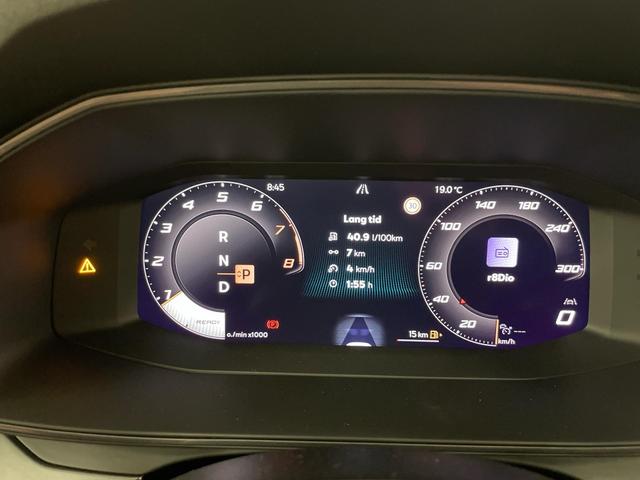 Formentor VZ 2.0 TSI 333PS/245kW 4x4 DSG7 2025 *+AHK +Erw. Garantie +EDGE & DESIGN Paket* 