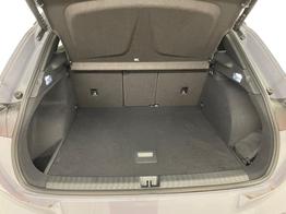 Cupra Terramar VZ 2.0 TSI 265PS/195kW 4x4 DSG7 2025 *+20" Alu +AHK +PANO +Matrix +NAVI +Top-View +DCC +IMMERSIVE* 