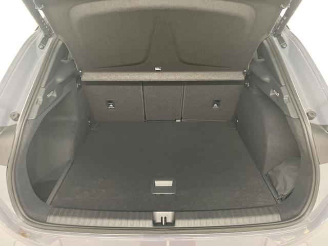 Terramar VZ 2.0 TSI 265PS/195kW 4x4 DSG7 2025 *+20" Alu +AHK +PANO +Matrix +NAVI +Top-View +DCC +IMMERSIVE* 