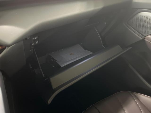 Cupra Terramar VZ 2.0 TSI 265PS/195kW 4x4 DSG7 2025 +Pano +DCC +Matrix +360-Kamera +Sennheiser +5J +Drive Paket 