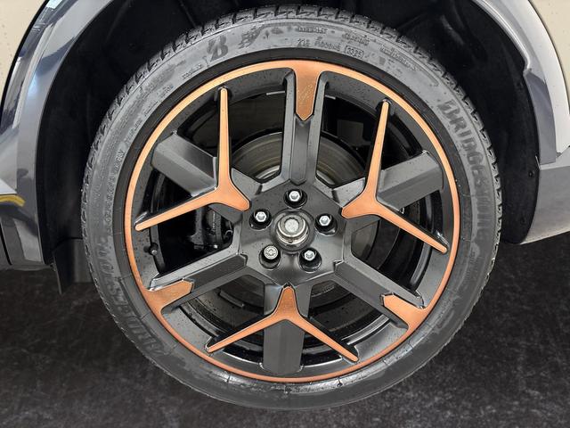 Formentor VZ EXTREME 2.0 TSI 333PS/245kW 4x4 DSG7 2026 +19"ALU+PANO+NAVI+Akebono 