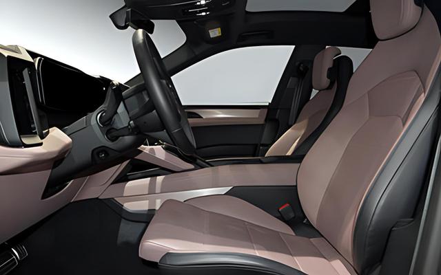 Porsche Cayenne E-Hybrid, Beispielbilder, ggf. teilweise mit Sonderausstattung