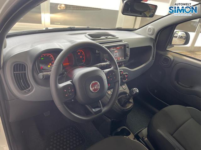 Fiat Panda CROSS EDITION KOPFSTÜTZEN AUF RÜCKBANK PDC KLIMA EL.PAKET Android/Apple Licht/Regensensor 