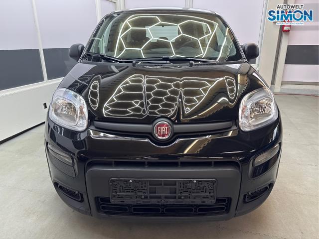 Fiat / Panda / Schwarz /  /  / 