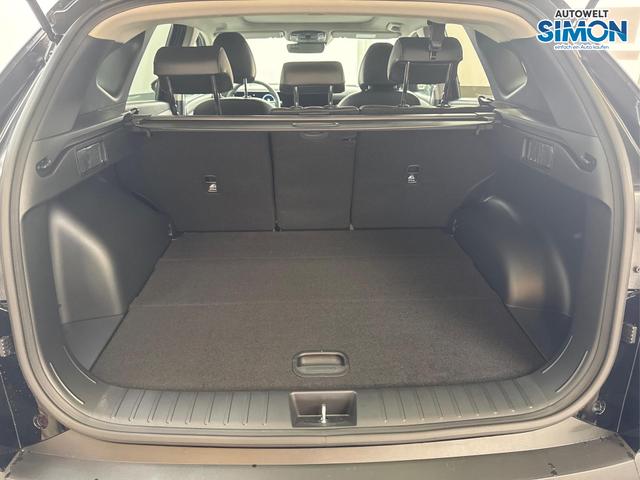 Hyundai TUCSON PREMIUM DCT ACC PANO SHZ v+h E-Shift 