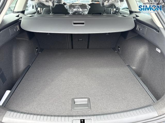 Seat / Leon / Weiß /  /  / 