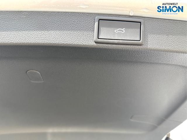 Skoda / Octavia / Silber /  /  / 