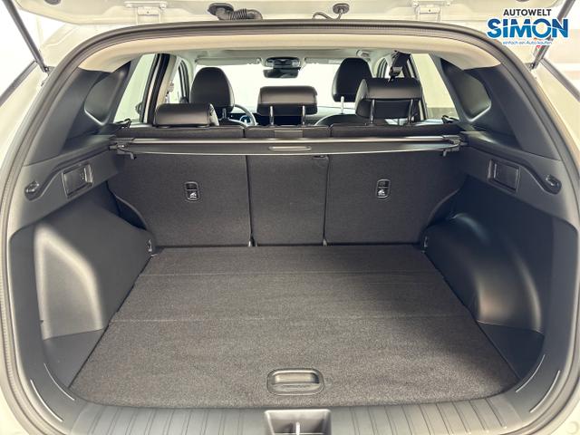 Hyundai / TUCSON / Weiß /  /  / PANO SHZ v+h 18 ALU