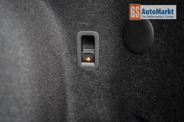 Cupra Terramar 2,0 TSI DSG 4Drive VZ - LAGER 