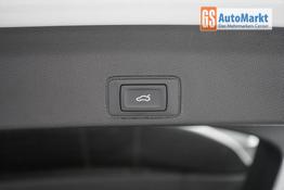 Cupra Terramar 2,0 TSI DSG 4Drive VZ - LAGER 