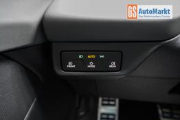 Cupra Terramar 2,0 TSI DSG 4x4 VZ - LAGER 