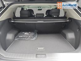 Kia EV3 81.4 KWH EARTH MJ26 WINTER-CONNECT BUSINESS UPGRADE 