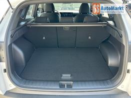 Hyundai TUCSON Black Line 1.6 T-GDi HEV AT Android Auto*Navi*SHZ*Kamera*2Z Klimaauto* 