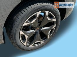 Cupra Terramar VZ 4Drive KAMERA+ACC+EL. HECKKL.+VOLL-LED+19" ALU 