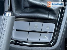 Skoda Kamiq Selection DSG+ACC+SHZ+RFK+PDC+KESSY+SUNSET 