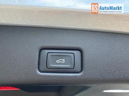 Audi Q5 Basis *SOFORT*AHK+ACC+KAMERA+19"ALU+NAVI 