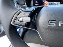 Skoda Fabia Selection ACC+SHZ+KAMERA+PDC+LED 