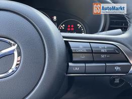 Mazda CX-30 Nagisa LEDER+BOSE+HUD+NAVI+SHZ+KAMERA+LED+18" 