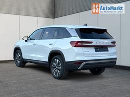 Skoda Kodiaq Selection Business Edition AHK+MATRIX-LED+KAMERA+EL. HECKKL.+PDC 