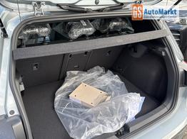 Volkswagen Golf R-Line Limited LED-PLUS+ACC+SHZ+KEYLESS+KAMERA+18" ALU 