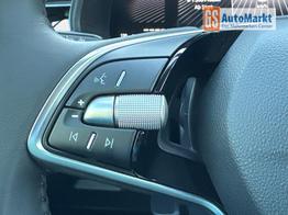 Skoda Scala Extra Selection SHZ+KAMERA+SMARTLINK+LED+16" ALU 