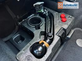 Ford Grand Tourneo Active 2,0 7 Sitzer 2Zoklima Anh&auml;ngerkupplung Panoramadach AGR Sitze Sitzheizung Einparkhilfe Kamera 17 Zoll Leichtmetall ACC 