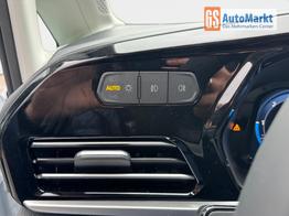 Ford Grand Tourneo Active 2,0 7 Sitzer 2Zoklima Anh&auml;ngerkupplung Panoramadach AGR Sitze Sitzheizung Einparkhilfe Kamera 17 Zoll Leichtmetall ACC 