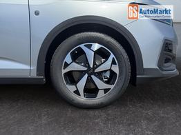 Ford Grand Tourneo Active 2,0 7 Sitzer 2Zoklima Anh&auml;ngerkupplung Panoramadach AGR Sitze Sitzheizung Einparkhilfe Kamera 17 Zoll Leichtmetall ACC 