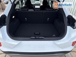 Ford Puma Titanium 1.0 Ecoboost 125 PS MHEV 6 Gang-Navi-R&uuml;ckfahrkamera-17" Alu-Winterpaket-Sofort 