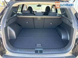 Hyundai TUCSON Jubile 1.6 T-GDI 48V 2WD Navi-17"-2 Zonen Klimaautomatik-LED-Kamera-Sofort 