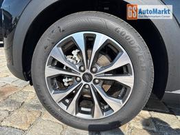 Ford Puma Titanium 1.0 Ecoboost 125 PS MHEV 6 Gang-Navi-R&uuml;ckfahrkamera-17" Alu-Winterpaket-Sofort 