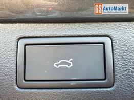 Skoda Kamiq 130 Jahre Premium Edition 1.5 TSI 150 PS DSG Anh&auml;ngerkupplung-AppleCarPlay-AndroidAuto-Winterpaket-Alcantara-DAB-Tempomat-Totwinkelassist-Kamera-SunSet-el.Heckklappe-17''Alu-Sofort 