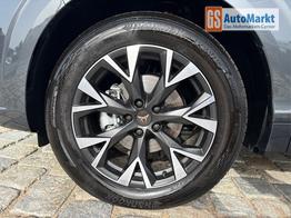 Cupra Terramar Impulse 1,5 eTSI 150 PS DSG-Navi-Head up Display-Intelligent Park Assist-Sofort 