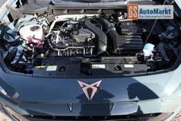 Cupra Formentor eTSI DSG AHK SHZ ACC 3ZCli DigC WirelC 