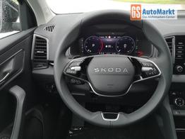 Skoda Karoq Selection 2.0 TDI DSG GV5 AHK 17 Ladeb 