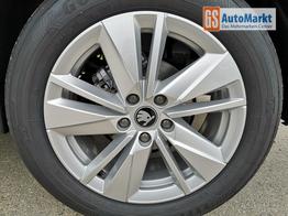 Skoda Karoq Selection 2.0 TDI DSG GV5 AHK 17 Ladeb 