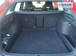 Skoda Octavia Combi 2.0 TSI 195 kW RS Kombi 2.0TSI Pano Matrix Area AHK Sound GV5 