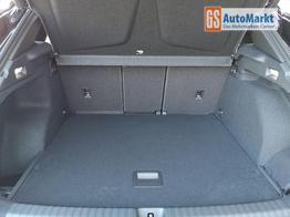 Cupra Terramar 2.0 TSI 195 kW 4Drive VZ 2.0TSI AHK ACC el. Hk GV5/100TKM 