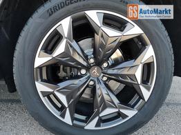Cupra Terramar 2.0 TSI 195 kW 4Drive VZ 2.0TSI AHK ACC el. Hk GV5/100TKM 
