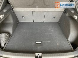 Cupra Terramar VZ 4Drive Leder+Pano+AKEBONO+Matrix+AHK+Stdhz+20 Zoll 