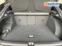 Cupra Terramar VZ 265PS DSG 4Drive Sthz+Sennheiser+AHK+Alu20+Matrix+Pano+Navi 