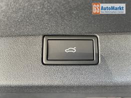 Volkswagen Tiguan LIFE 150PS eTSI DSG GV5+AHK+360&deg;+Lenkradheiz+IQ.Drive+ACC+App+eHeck+LED 